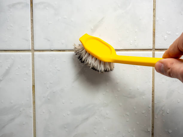 Best Commercial Mold Removal  in Maybrook, NY