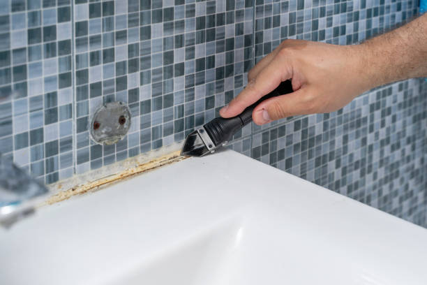 Best Affordable Mold Removal  in Maybrook, NY